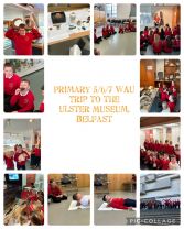 Primary 5 / 6 / 7 School Trip To Ulster Museum Belfast