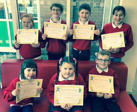 Lucy P1, Grace P2, Fionn P3, Kieva P4, Andrew P5, Dylan P6 and Shannon P7 were delighted this afternoon to be awarded the Pupil of the Week award!