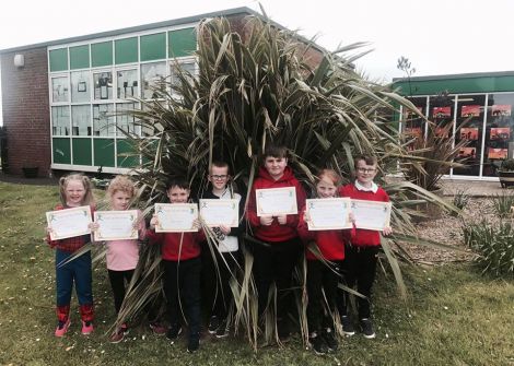 Our brilliant Pupil of the Week winners: Hannah, Hollie, Reece, Blake, Eva, Joshua and Corey.